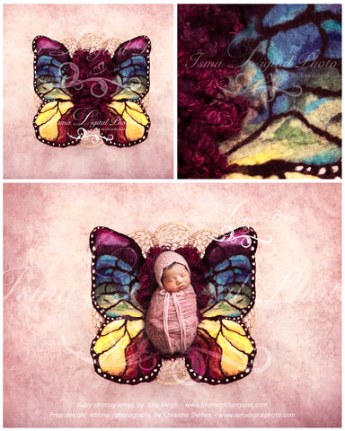 Newborn felted wool butterfly 1 - Digital backdrop /background - psd with layers