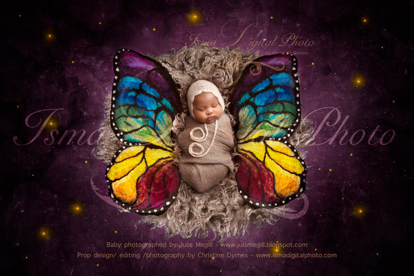 Newborn felted wool butterfly 2 - Digital backdrop /background props