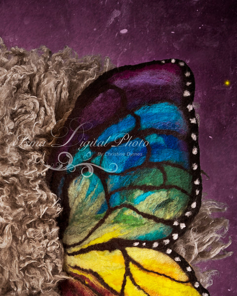 Newborn felted wool butterfly 2 - Digital backdrop /background props