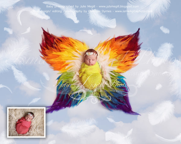Rainbow feather butterfly - Digital backdrop /background - psd with layers