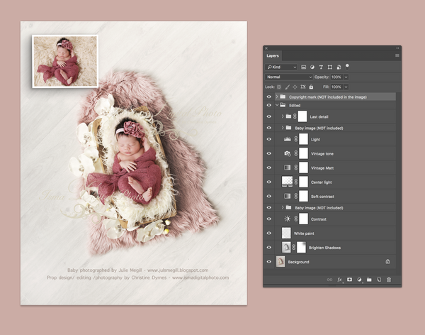 Trencher bowls with orchid - Digital backdrop /props - Newborn photography - psd with layers