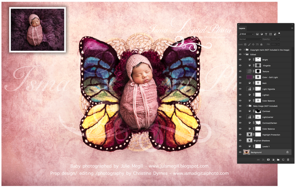 Newborn felted wool butterfly 1 - Digital backdrop /background - psd with layers