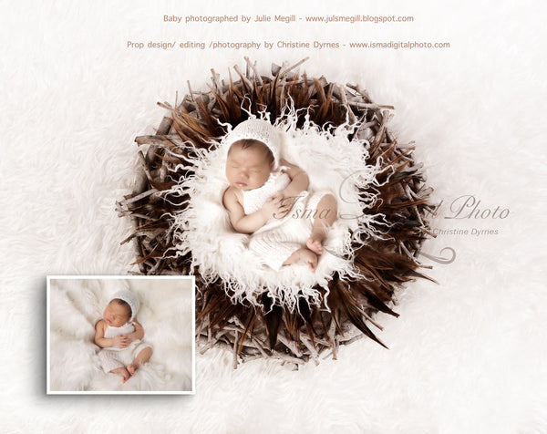 Wood nest - Digital backdrop /background - psd with layers