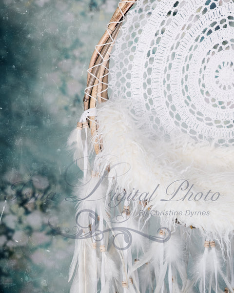 Wooden dreamcatcher - Digital backdrop /background - psd with layers
