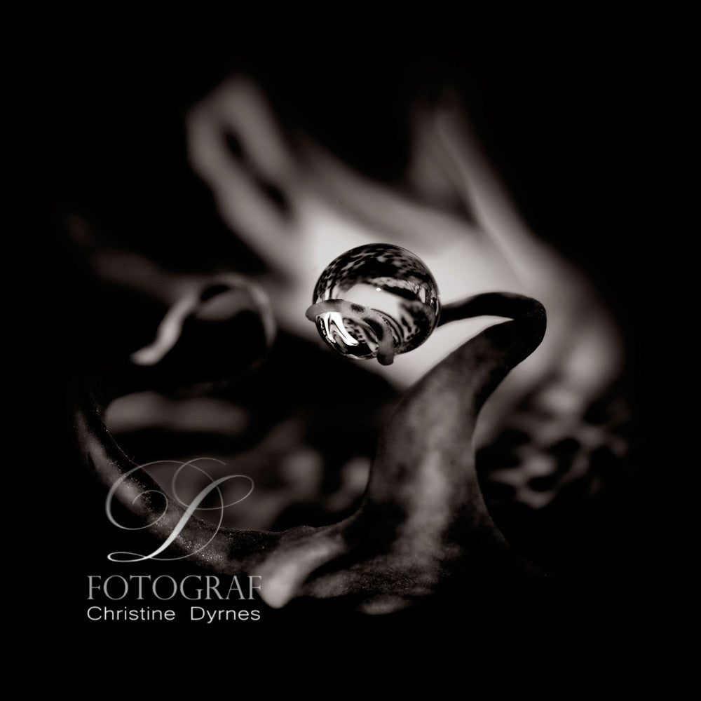 Artistic water drop - Capture - Limited edition of  10 copies