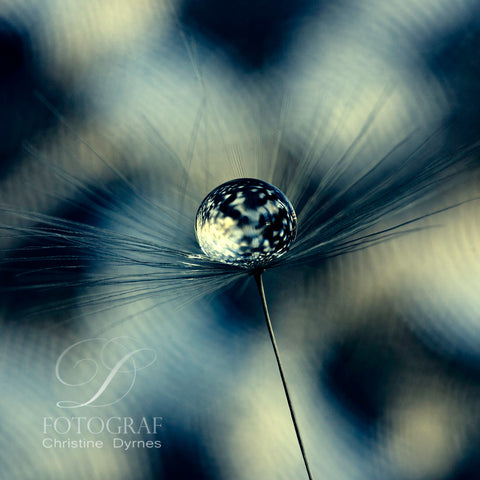 Artistic water drop - Nabo - Limited edition of  10 copies