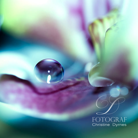 Artistic water drop - Pearl - Limited edition of 10 copies